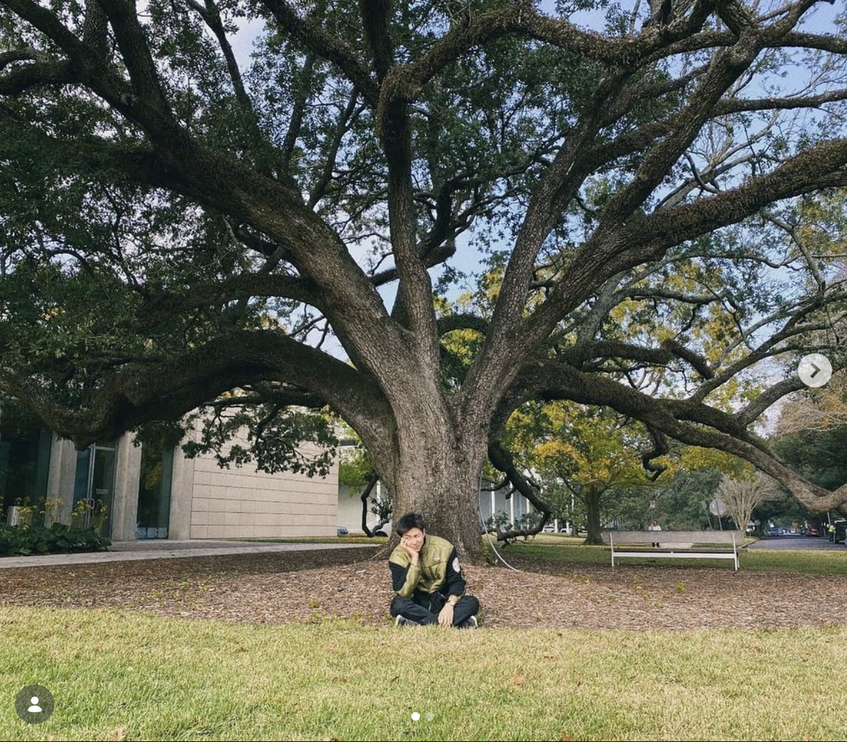 The Menil Collection